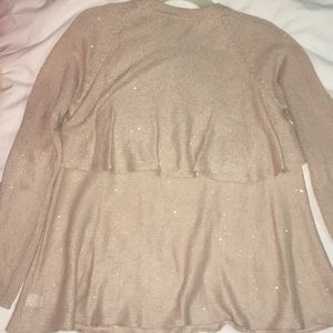 Brunello Cucinelli Sequin Sweater.